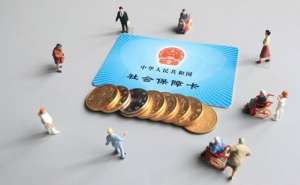 安徽蕪湖繁昌區(qū)社保代繳費(fèi)用要多少錢