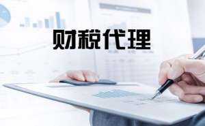 安徽蕪湖繁昌區(qū)代理記賬包括哪些方面