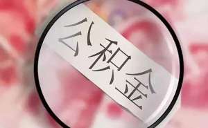 安徽蕪湖繁昌區(qū)離職了五險(xiǎn)一金應(yīng)該怎么繳納