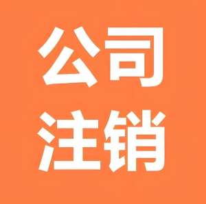 蕪湖公司注銷全流程深度剖析：從決議到終結(jié)的關(guān)鍵步驟
