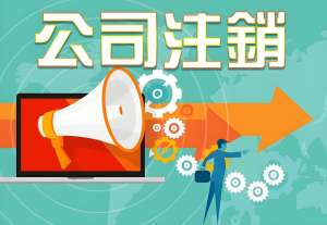 對(duì)比解讀：蕪湖公司一般注銷與簡(jiǎn)易注銷的差異與適用情形
