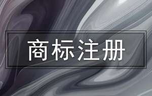 蕪湖商標(biāo)注冊關(guān)鍵環(huán)節(jié)拆解：避誤區(qū)、提效率指南