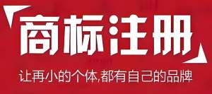 零基礎(chǔ)看蕪湖商標(biāo)注冊(cè)：標(biāo)準(zhǔn)條款簡(jiǎn)化解讀